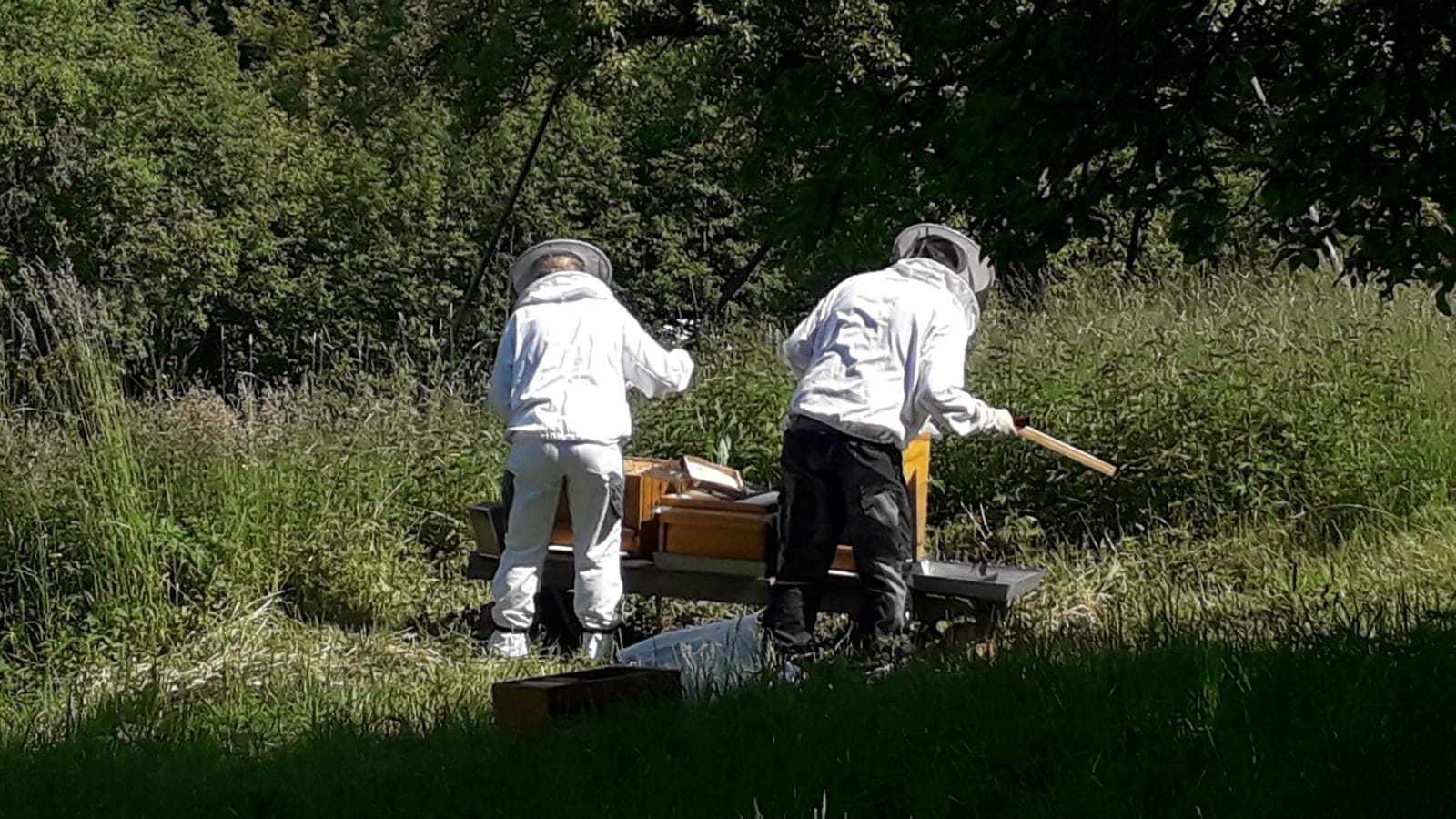 Ulrike und Jochen Emmert bei der Honigproduktion